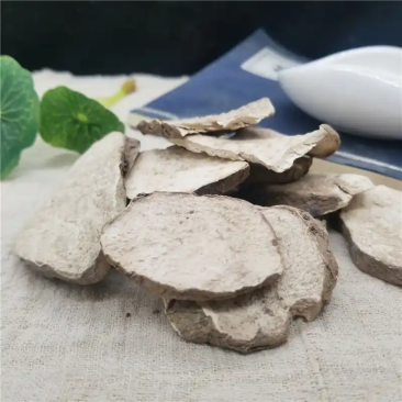 白药子
