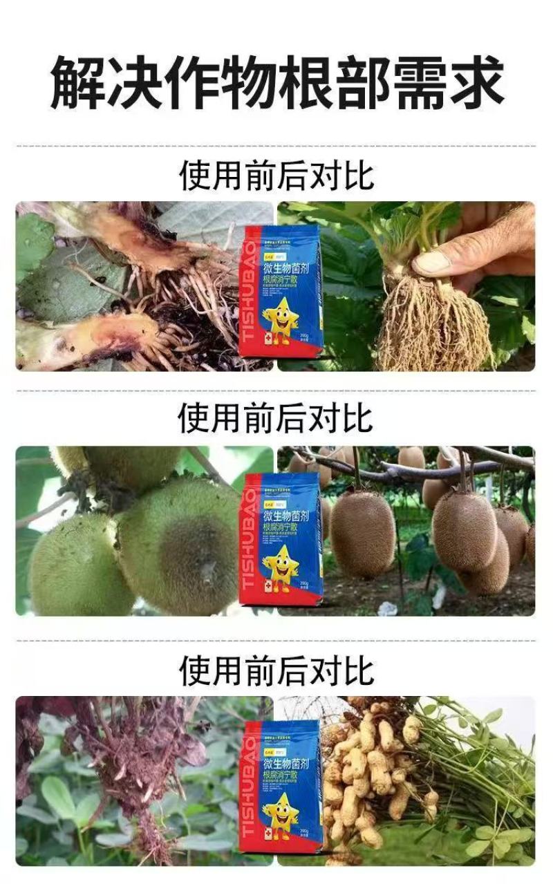 北斗星微生物菌剂根腐消宁散草芽孢杆菌死苗烂根根腐病枯萎病