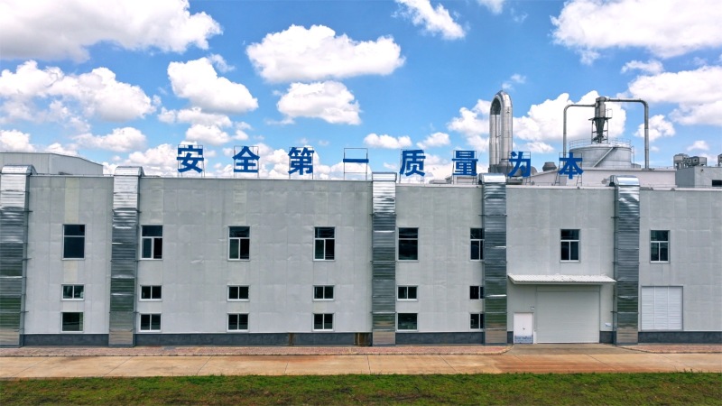芭蕉芋淀粉，**促销，到厂自提