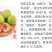青皮无花果树苗裸根金傲芬无花果苗波姬红芭劳奈