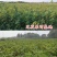 青皮无花果树苗裸根金傲芬无花果苗波姬红芭劳奈