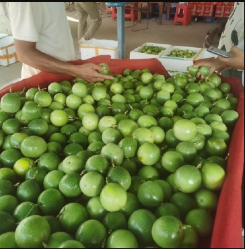 规格齐全百香果随时可聊