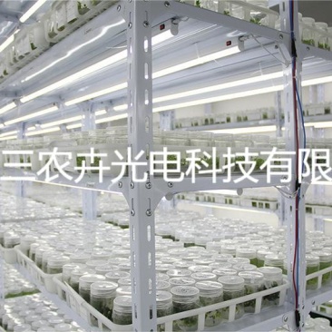 60cm-多肉上色防徒补光灯