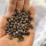 薏仁米白米黄米品质保证服务周到产地直发价格美丽