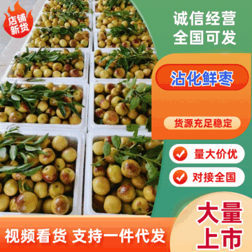 【山东冬枣】沾化冬枣支持电商/一件代发日供应2万单