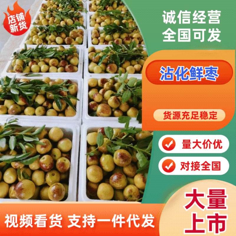 【山东冬枣】沾化冬枣支持电商/一件代发日供应2万单