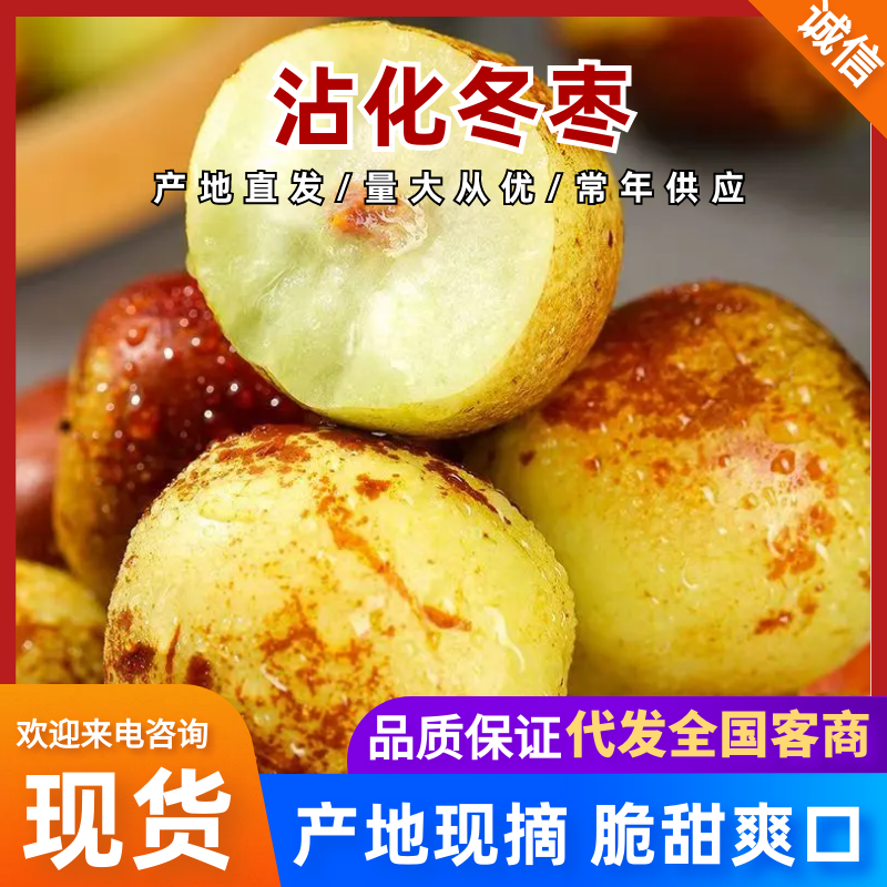 冬枣沾化冬枣现摘现发支持一件代发电商商超欢迎咨询