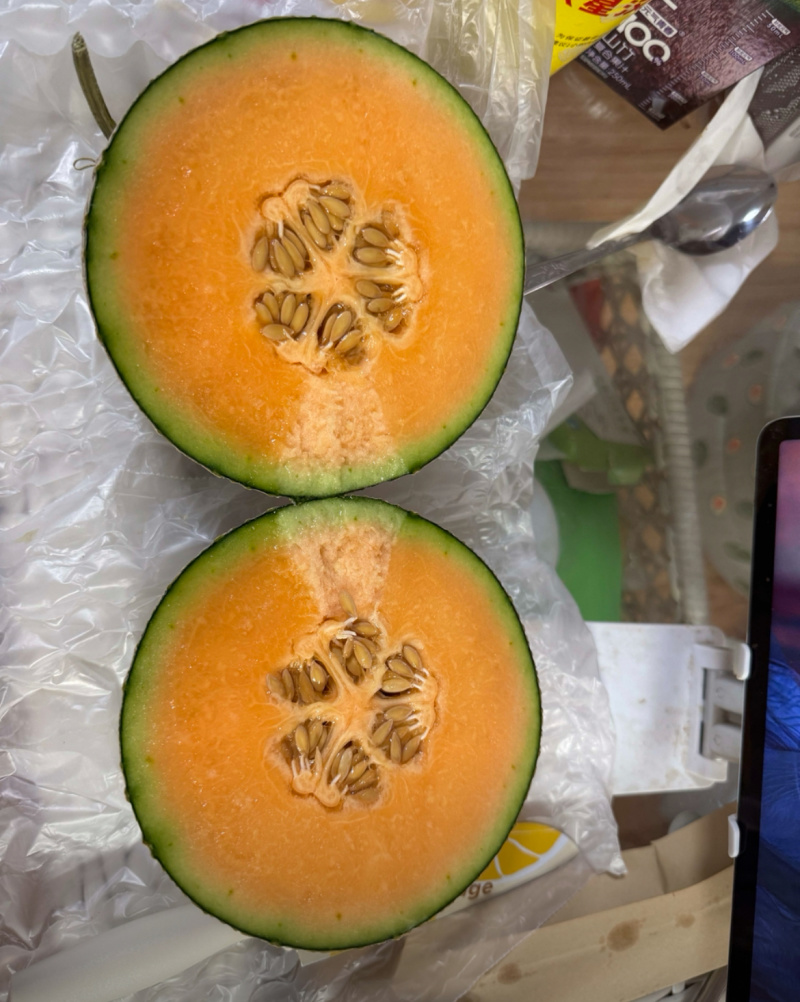 网纹瓜哈密瓜精品推荐品质保证货源充足量大从优