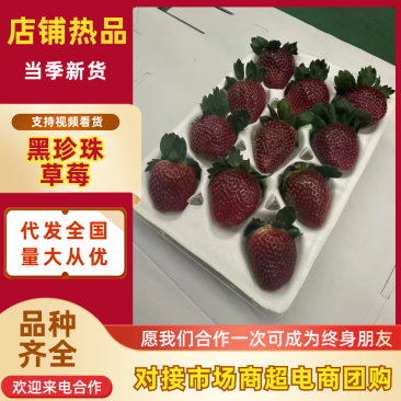 黑珍珠草莓品质保证价格优惠量大从优济南原产地