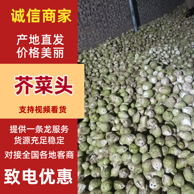 山西晋中水洗芥菜头大量有货，整车发货，视频看货欢迎致电
