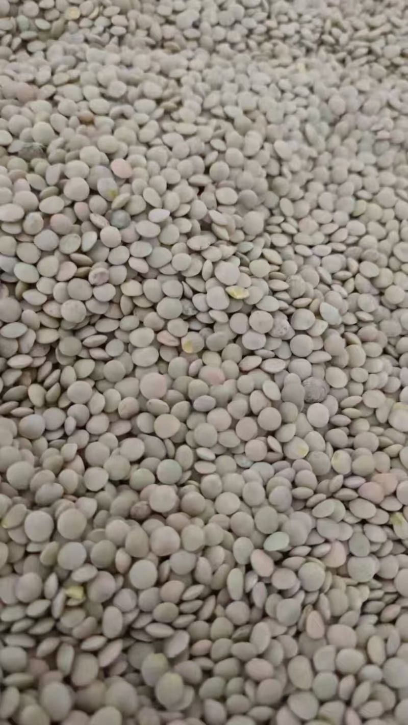 小扁豆对接各大平台诚信经营质优价廉电联详谈