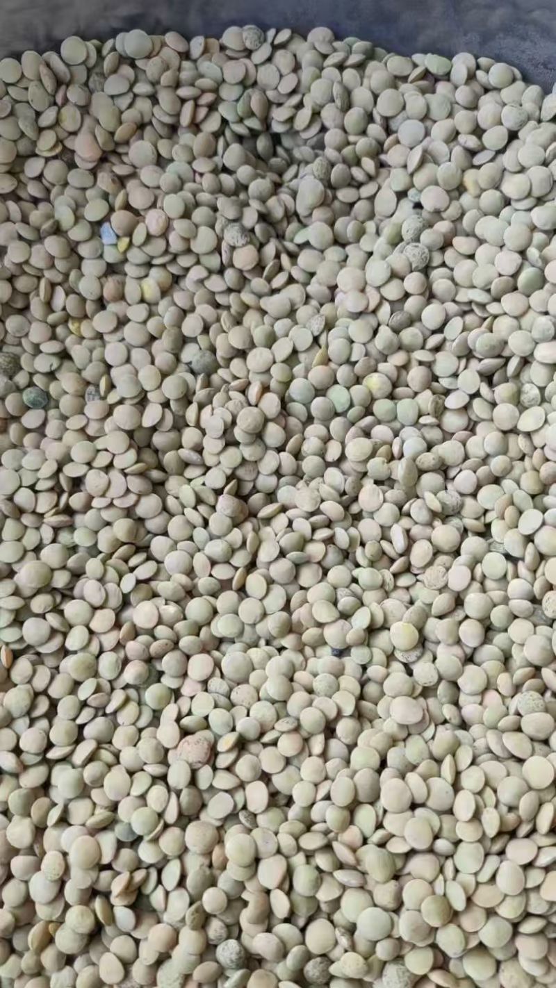 小扁豆对接各大平台诚信经营质优价廉电联详谈