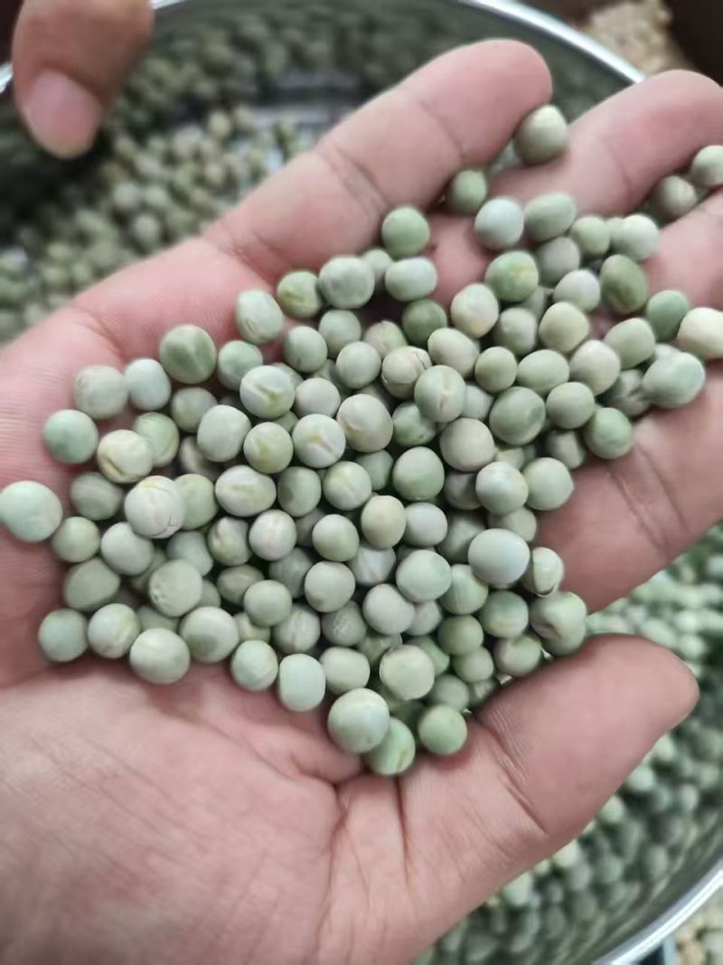 阿根廷绿豌豆品种齐全代发全国大量上市精品直供