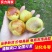 沾化露天精品冬枣大量上市中现货可代发欢迎咨询！
