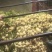 湖北豆薯地瓜清甜可口量大从优价格美丽质量好走货快热卖中