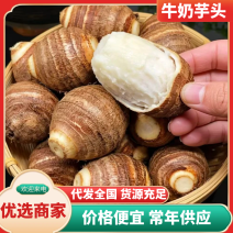 攀枝花牛奶水果芋头软糯香甜，可供市场商超量大从优