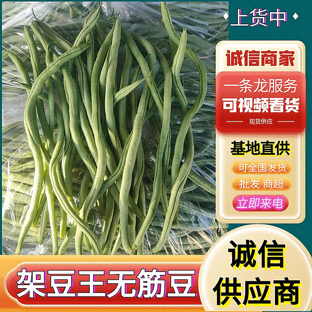 【精选】架豆王豆角&无筋豆/青豆角/基地直供/可全国发货
