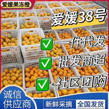 《爱媛38号》爱媛果冻橙/可一件代发/社区团购/商超批发