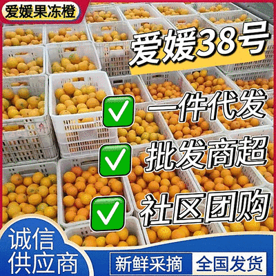 《爱媛38号》爱媛果冻橙/可一件代发/社区团购/商超批发