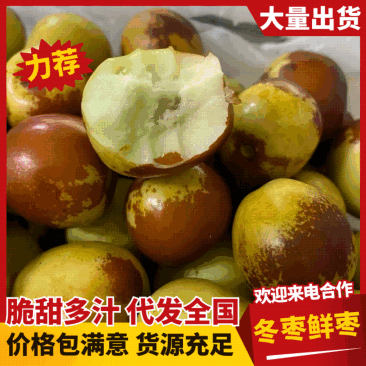 【沾化冬枣】山东鲜枣/沾化鲜枣/电商团购/一件代发便宜