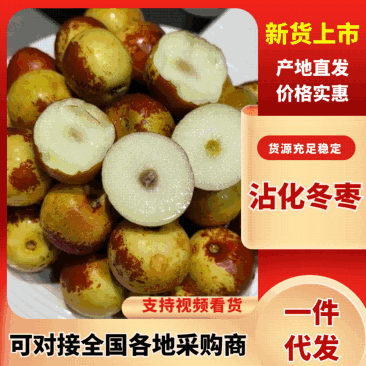 山东沾化冬枣/沾化鲜枣/口感脆甜电商团购一件代发