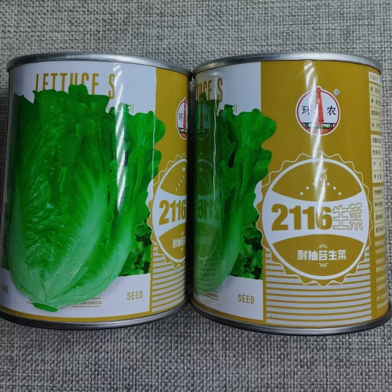 环农2116高产耐抽苔四季生菜种子爽脆美味耐热耐寒意大利