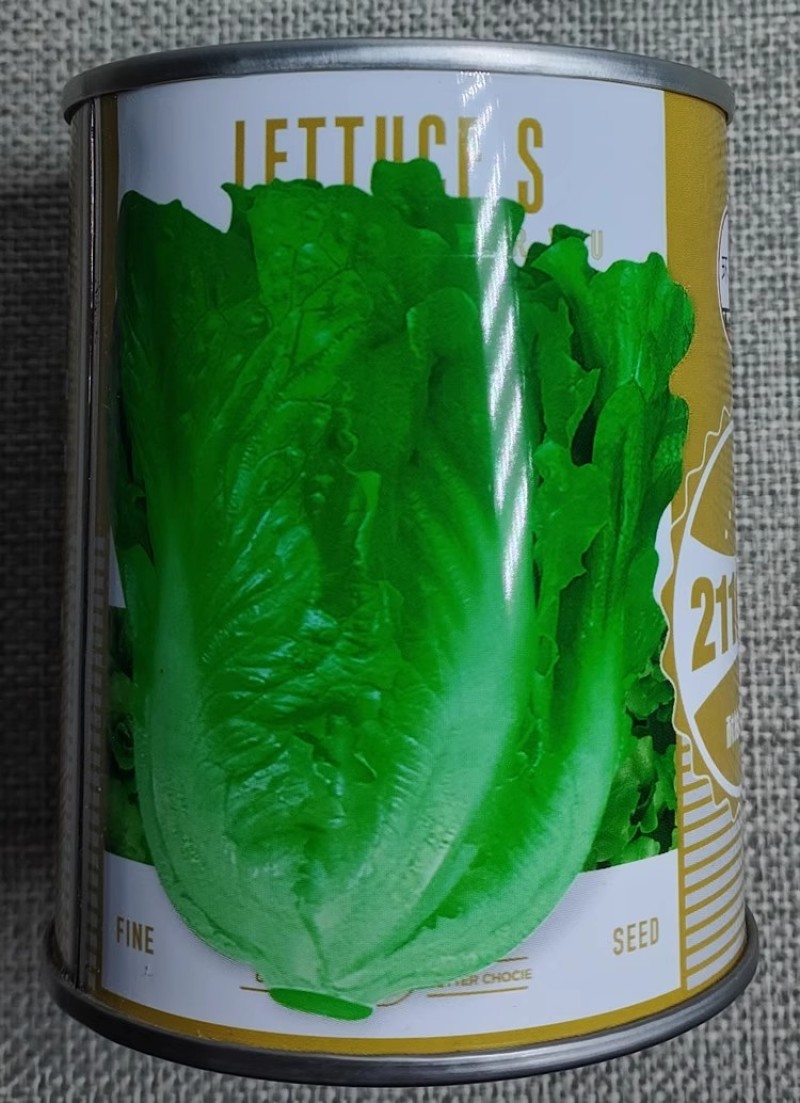 环农2116高产耐抽苔四季生菜种子爽脆美味耐热耐寒意大利