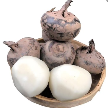 去皮马蹄/荸荠一件代发