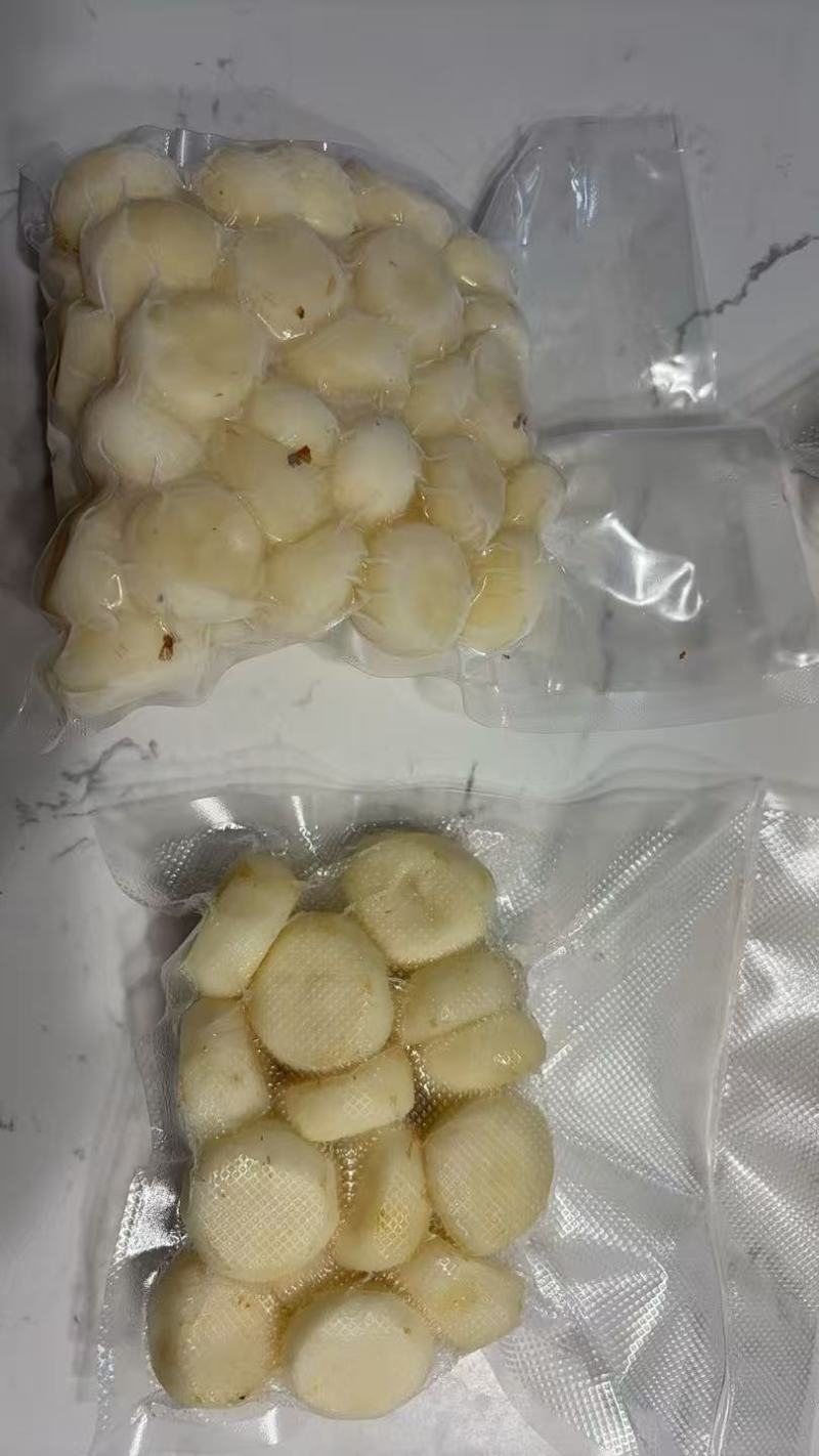 去皮马蹄/荸荠一件代发