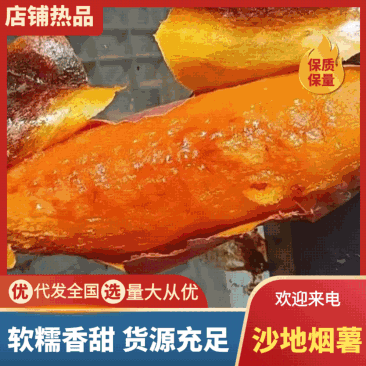 【烟薯】纯沙地烟薯25,现挖现发保证新鲜适宜蒸煮烘烤