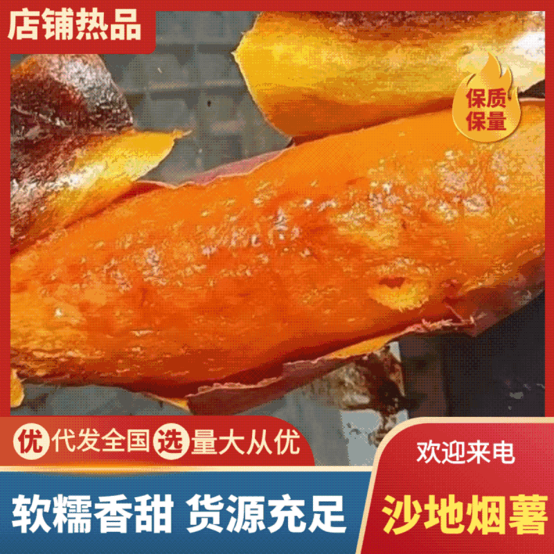 【烟薯】纯沙地烟薯25，现挖现发保证新鲜适宜蒸煮烘烤