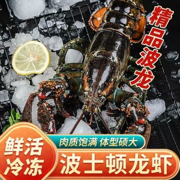 龙虾波士顿龙虾规格齐全大量现货供应，支持视频看货欢迎电联