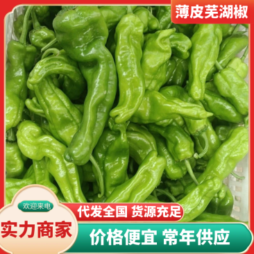 芜湖薄皮辣椒，一手货源，全国发货，品质保证，诚信经营