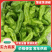 芜湖薄皮辣椒，一手货源，全国发货，品质保证，诚信经营