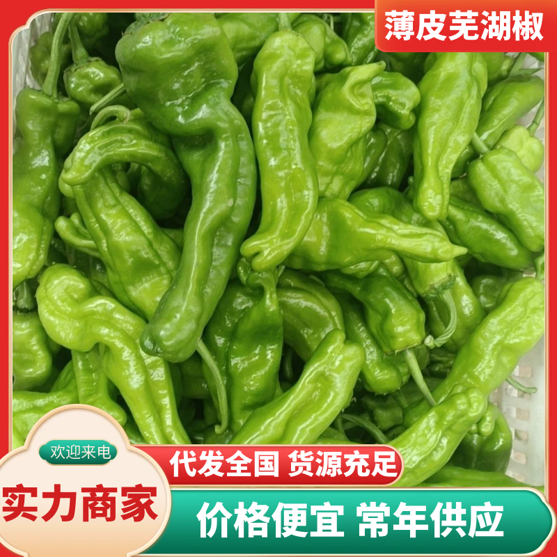 芜湖薄皮辣椒，一手货源，全国发货，品质保证，诚信经营