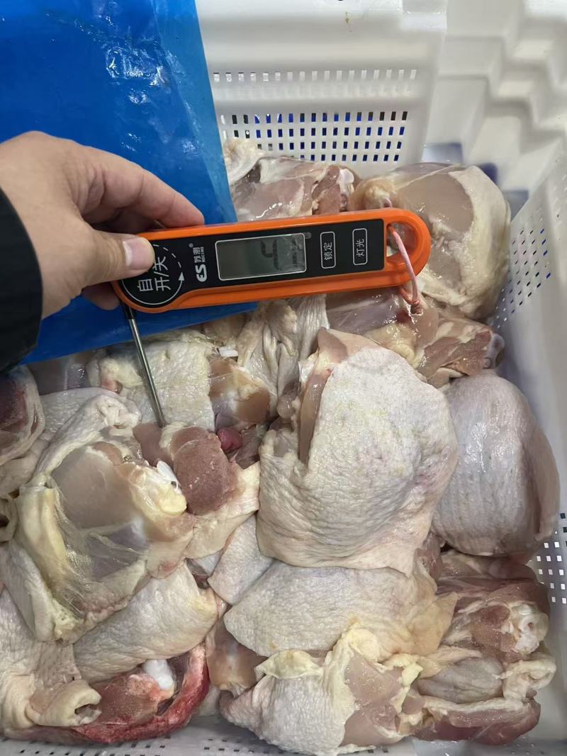 纯鸡板油杀鸡厂一手货源对接各大市场视频看货