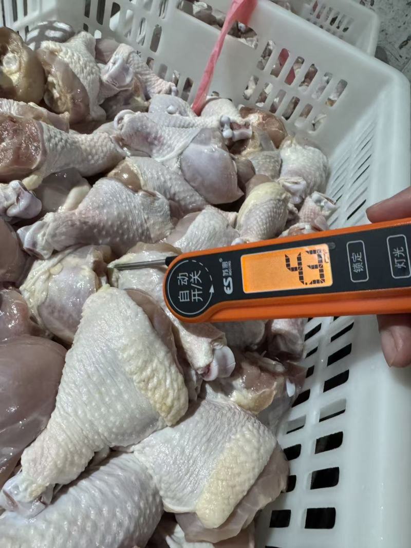 纯鸡板油杀鸡厂一手货源对接各大市场视频看货
