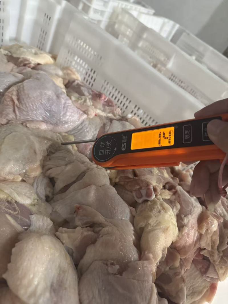 纯鸡板油杀鸡厂一手货源对接各大市场视频看货