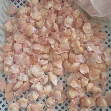 鸡腿排腿