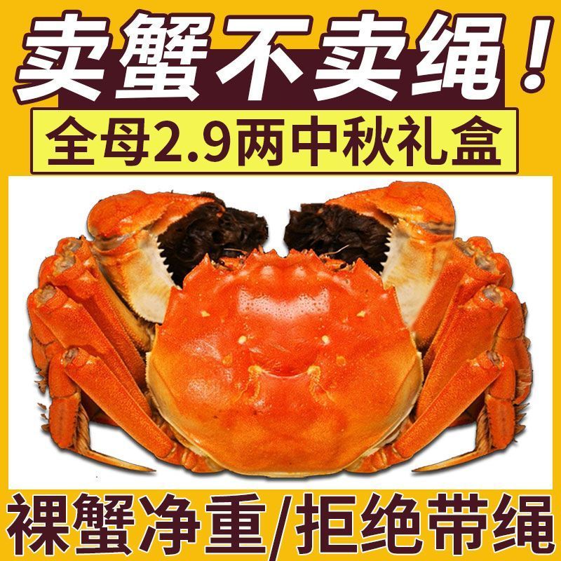 基地直发大闸蟹运输包活规格齐全蟹农直销支持视频看货