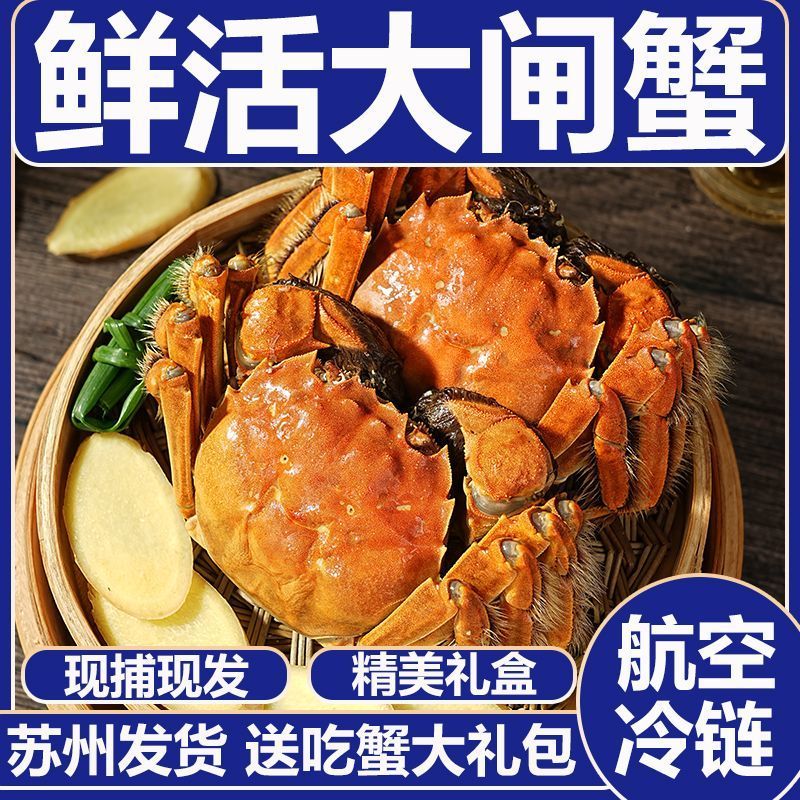 基地直发大闸蟹运输包活规格齐全蟹农直销支持视频看货