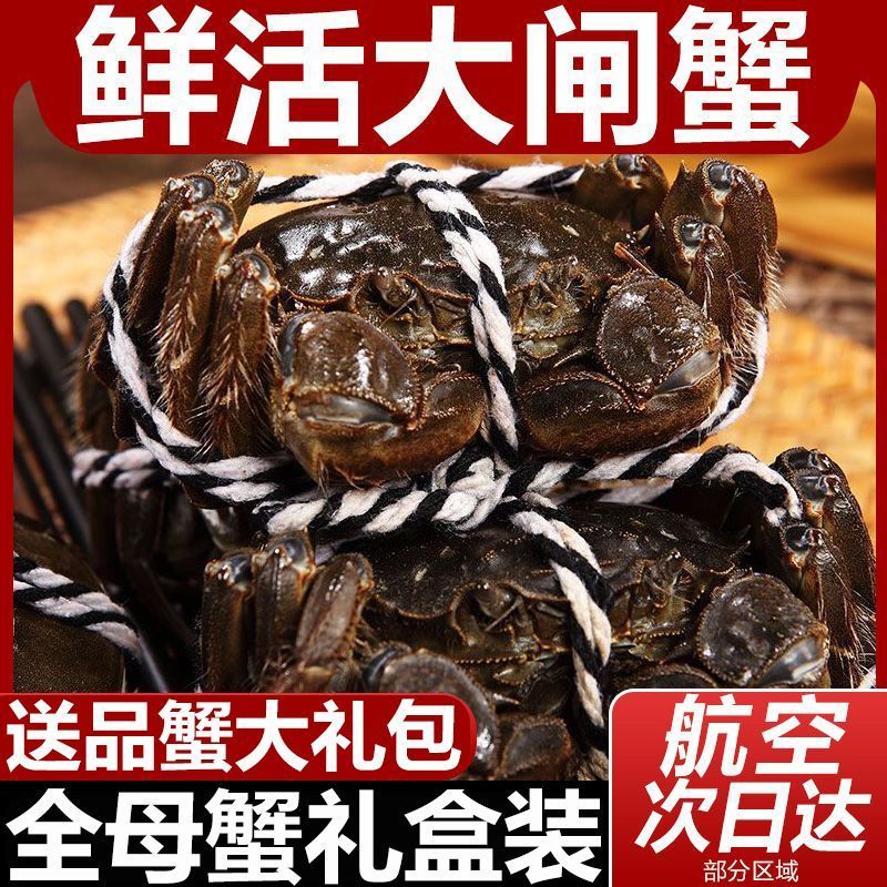 基地直发大闸蟹运输包活规格齐全蟹农直销支持视频看货