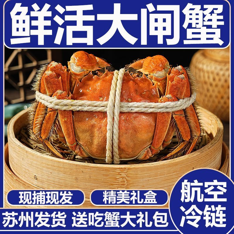 基地直发大闸蟹运输包活规格齐全蟹农直销支持视频看货
