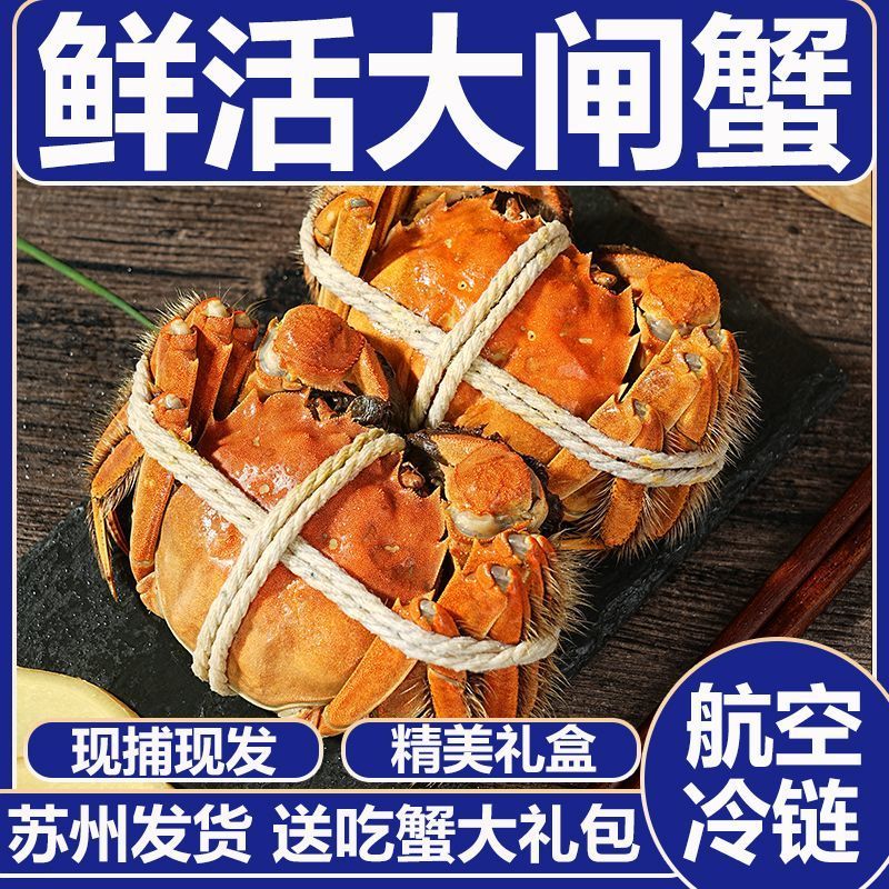 基地直发大闸蟹运输包活规格齐全蟹农直销支持视频看货