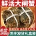 基地直发大闸蟹运输包活规格齐全蟹农直销支持视频看货