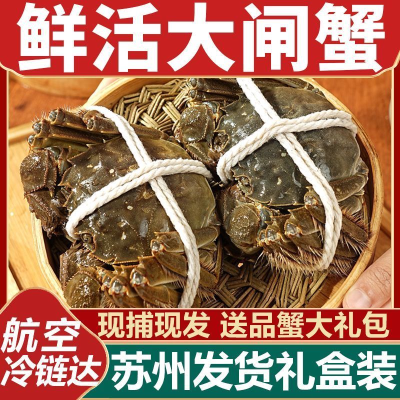 基地直发大闸蟹运输包活规格齐全蟹农直销支持视频看货