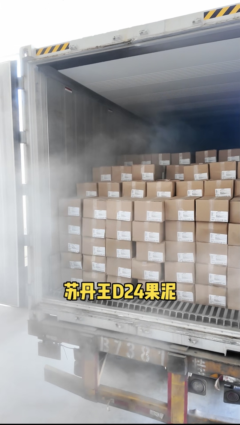 苏丹王果泥，大量现货速发，优质果泥欢迎老板选购