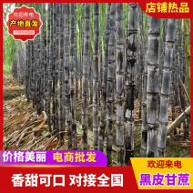 黑皮甘蔗，韶关翁源，现砍现发，基地货源，量大从优，欢迎～