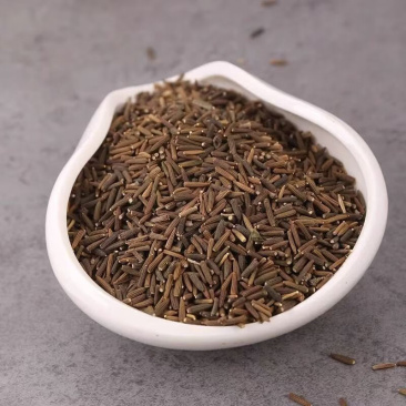 驱虫斑鸠菊