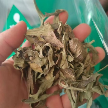 草乌叶各种药材加工细粉